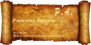 Pankotai Aminta névjegykártya